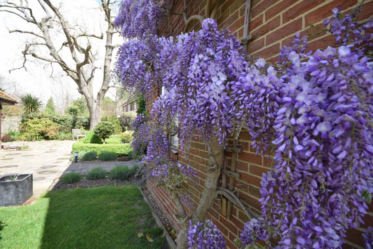 Wisteria Way, Tangmere Екстер'єр фото